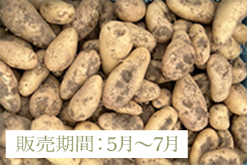 メークイン